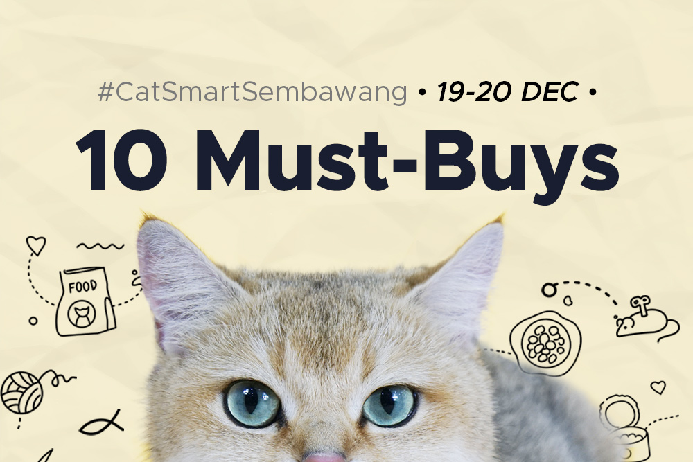 Here Are The TOP 10 Must-Buy Products At CatSmart Sembawang